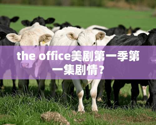 the office美剧第一季第一集剧情？