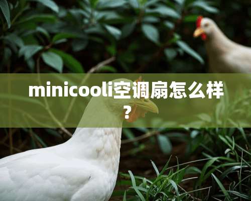 minicooli空调扇怎么样？