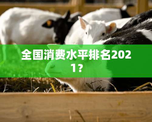 全国消费水平排名2021？