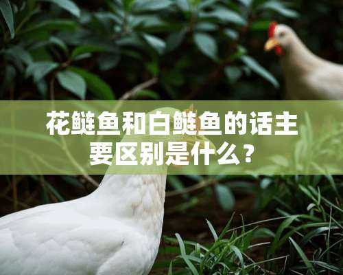 花鲢鱼和白鲢鱼的话主要区别是什么？