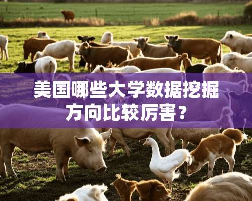 美国哪些大学数据挖掘方向比较厉害？