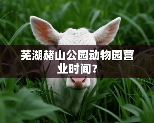 芜湖赭山公园动物园营业时间？