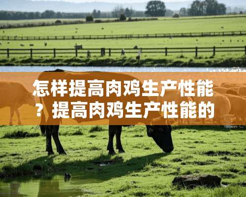 怎样提高肉鸡生产性能？提高肉鸡生产性能的六项措施