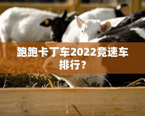 跑跑卡丁车2022竞速车排行？