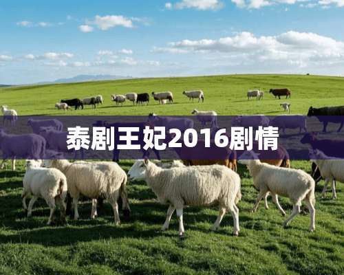 泰剧王妃2016剧情