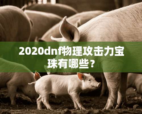 2020dnf物理攻击力宝珠有哪些？