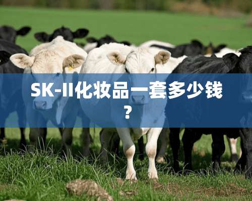 SK-II化妆品一套多少钱？