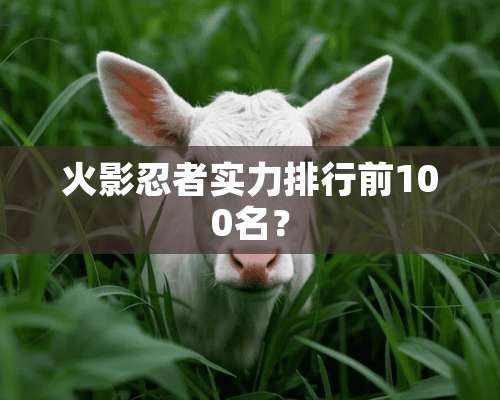 火影忍者实力排行前100名？