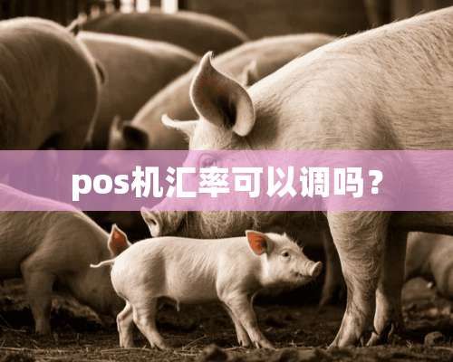 pos机汇率可以调吗？