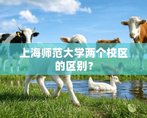 上海师范大学两个校区的区别？