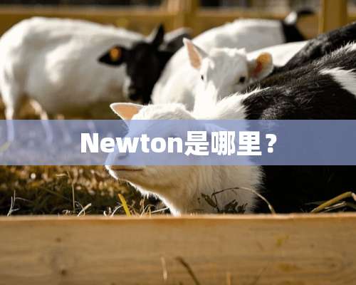 Newton是哪里？