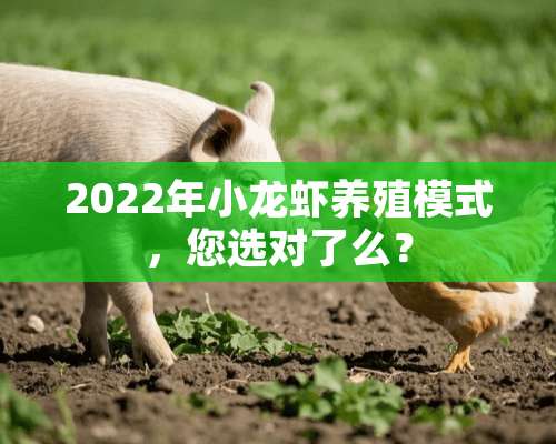 2022年小龙虾养殖模式，您选对了么？