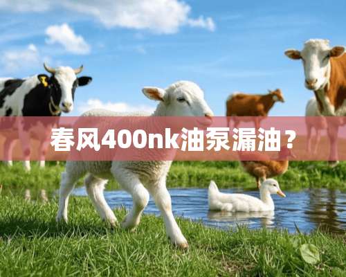 春风400nk油泵漏油？