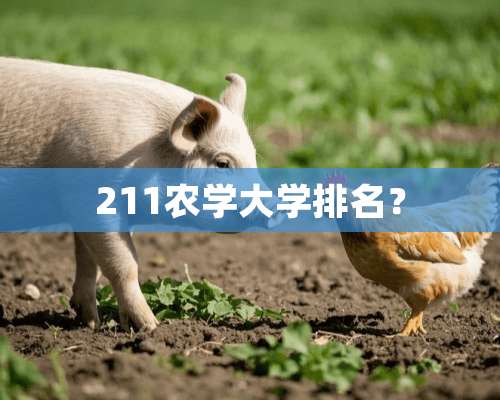 211农学大学排名？