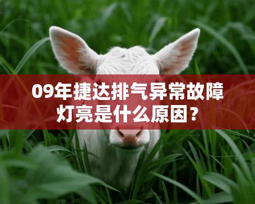 09年捷达排气异常故障灯亮是什么原因？