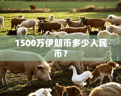 1500万伊朗币多少人民币？