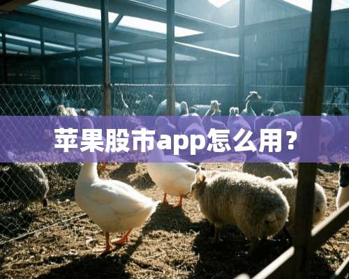 苹果股市app怎么用？