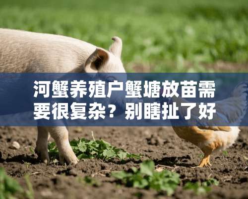 河蟹养殖户蟹塘放苗需要很复杂？别瞎扯了好么！