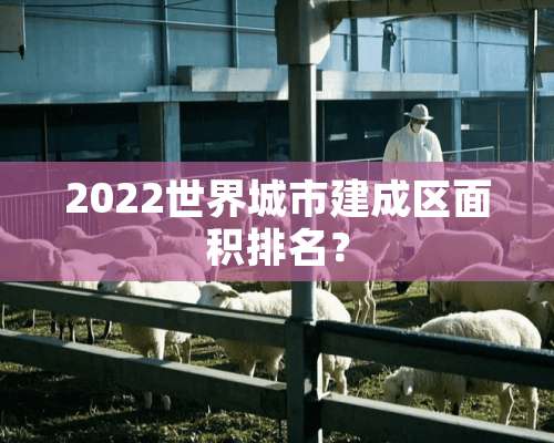 2022世界城市建成区面积排名？