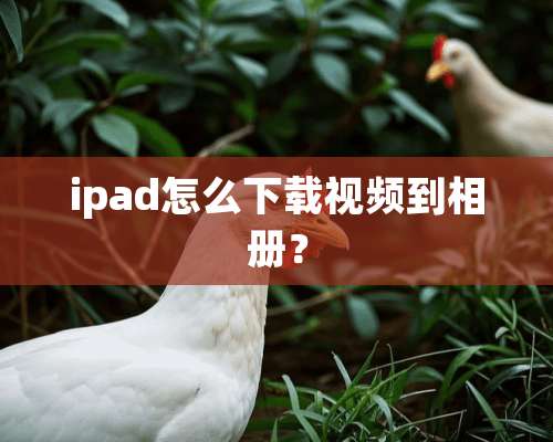 ipad怎么下载视频到相册？