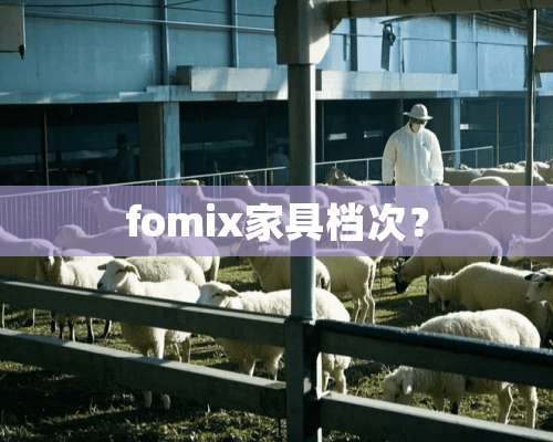 fomix家具档次？