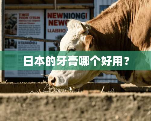 日本的牙膏哪个好用？