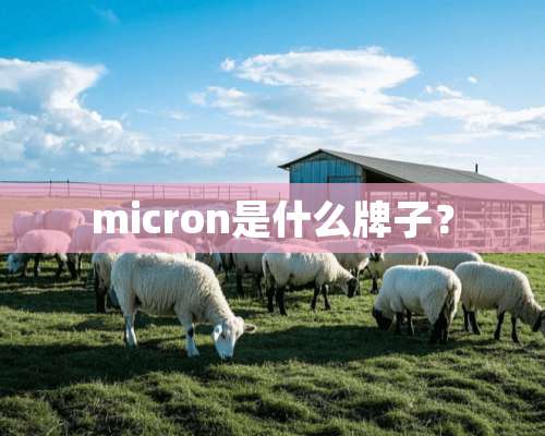 micron是什么牌子？