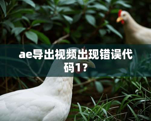 ae导出视频出现错误代码1？