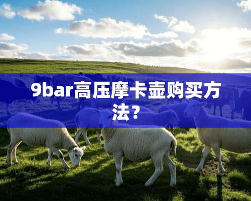 9bar高压摩卡壶购买方法？