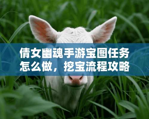 倩女幽魂手游宝图任务怎么做，挖宝流程攻略？