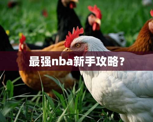 最强nba新手攻略？