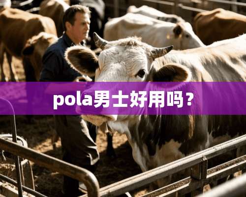 pola男士好用吗？