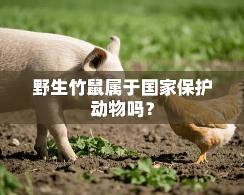 野生竹鼠属于国家保护动物吗？