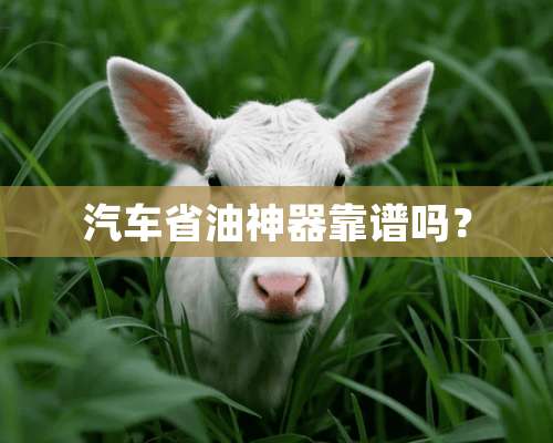 汽车省油神器靠谱吗？