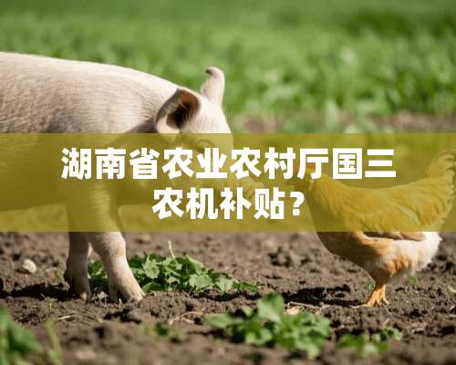 湖南省农业农村厅国三农机补贴？