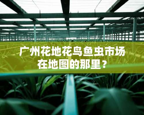 广州花地花鸟鱼虫市场在地图的那里？