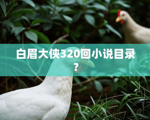 白眉大侠320回小说目录？