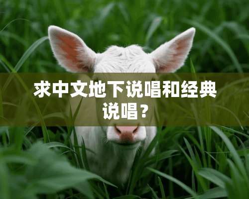 求中文**说唱和经典说唱？