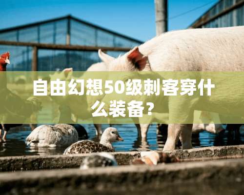 自由幻想50级刺客穿什么装备？