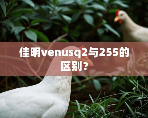 佳明venusq2与255的区别？