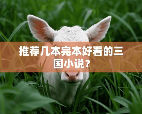 推荐几本完本好看的三国小说？