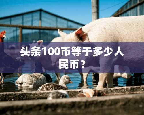 头条100币等于多少人民币？