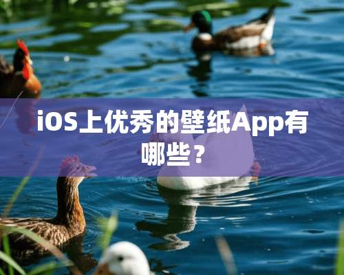 iOS上优秀的壁纸App有哪些？