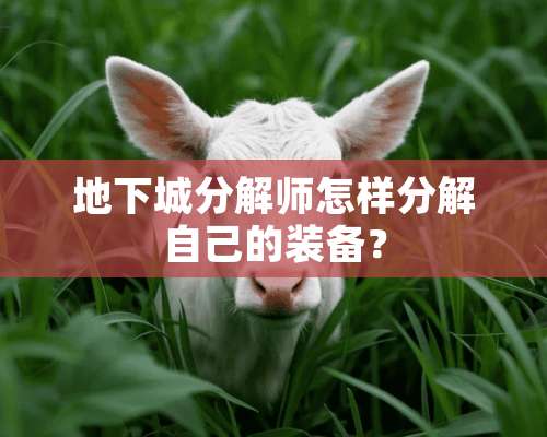 **城分解师怎样分解自己的装备？