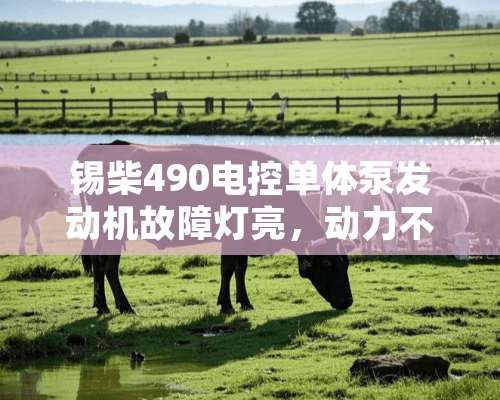 锡柴490电控单体泵发动机故障灯亮，动力不足？