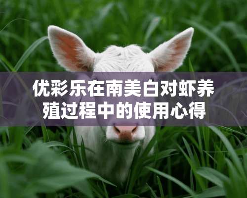 优彩乐在南美白对虾养殖过程中的使用心得