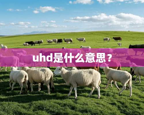 uhd是什么意思？