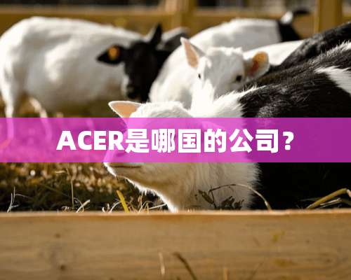 ACER是哪国的公司？