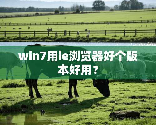 win7用ie浏览器好个版本好用？