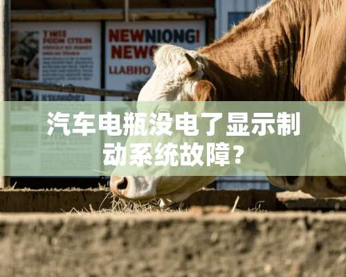 汽车电瓶没电了显示制动系统故障？